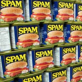 SPAM Infinity