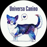 Uᥒιvᥱrso Cᥲᥒιᥒo 🐶