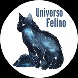 Uᥒιvᥱrso Fᥱᥣιᥒo 🐱
