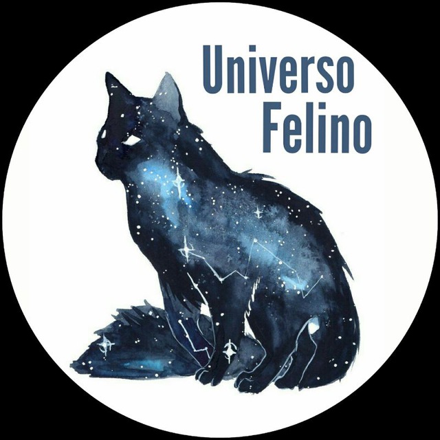 Uᥒιvᥱrso Fᥱᥣιᥒo 🐱