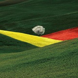 Fotografia Italia Telegram Gruppo Ufficiale