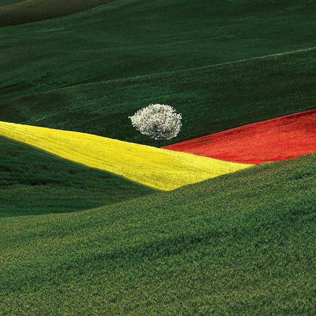 Fotografia Italia Telegram Gruppo Ufficiale