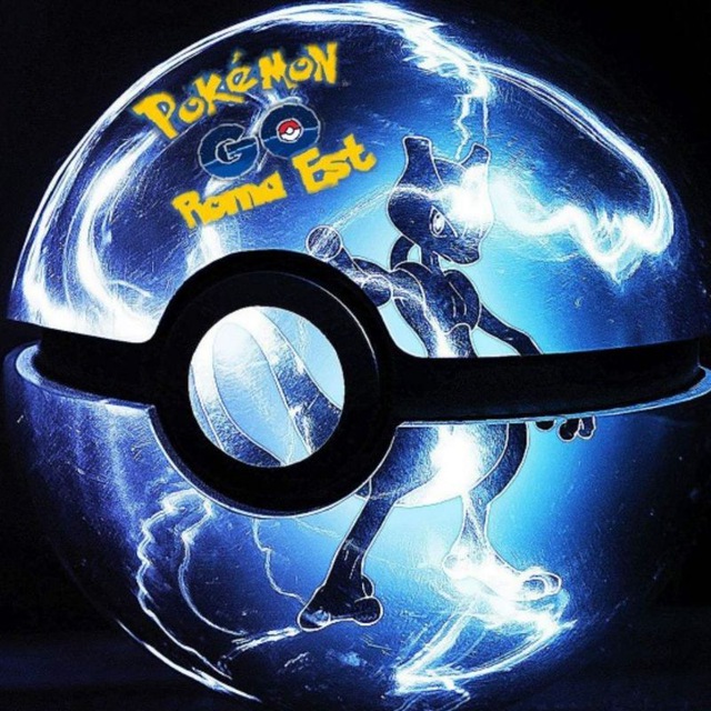 Gruppo di zona - Roma Est (RAID)