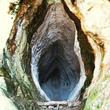 La fossa delle Marianne.