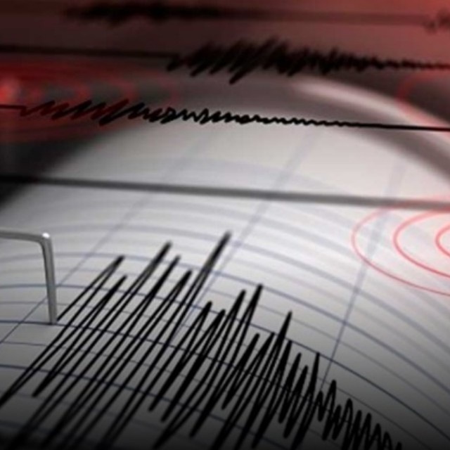 🌍 TERREMOTI 24 🌋