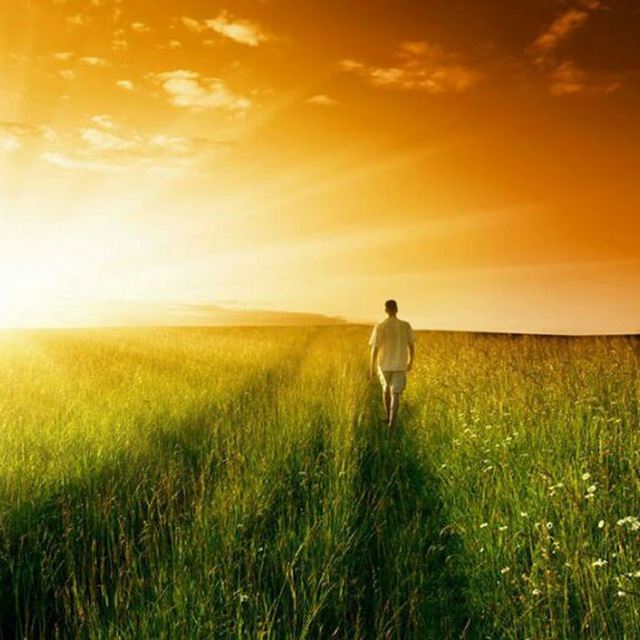 NEWS & FAKE DAL SIXTEMA GLOBALE