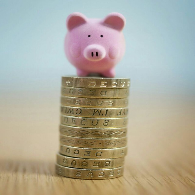 Il Maialino del Risparmio 🛍