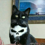 🔝Guadagnare online