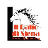 Il Palio di Siena 🏇