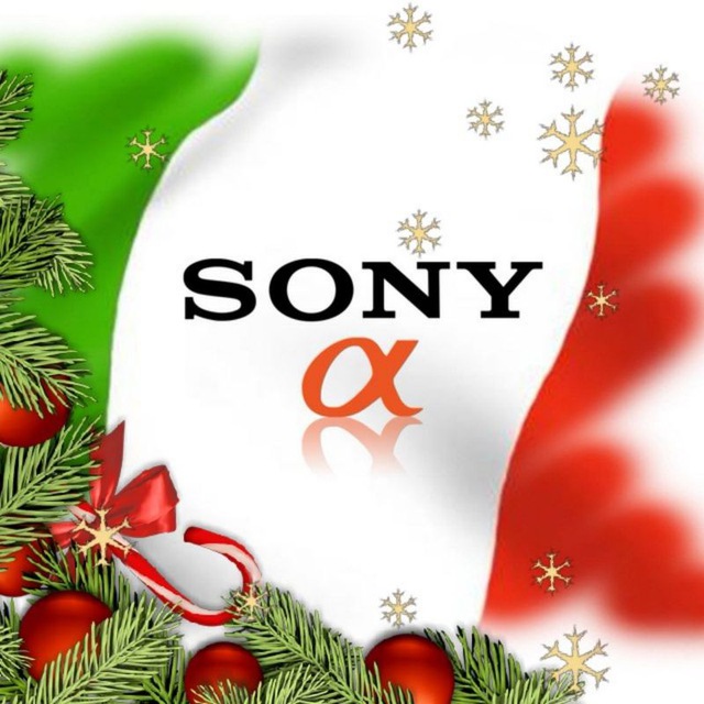 Sony α Italia