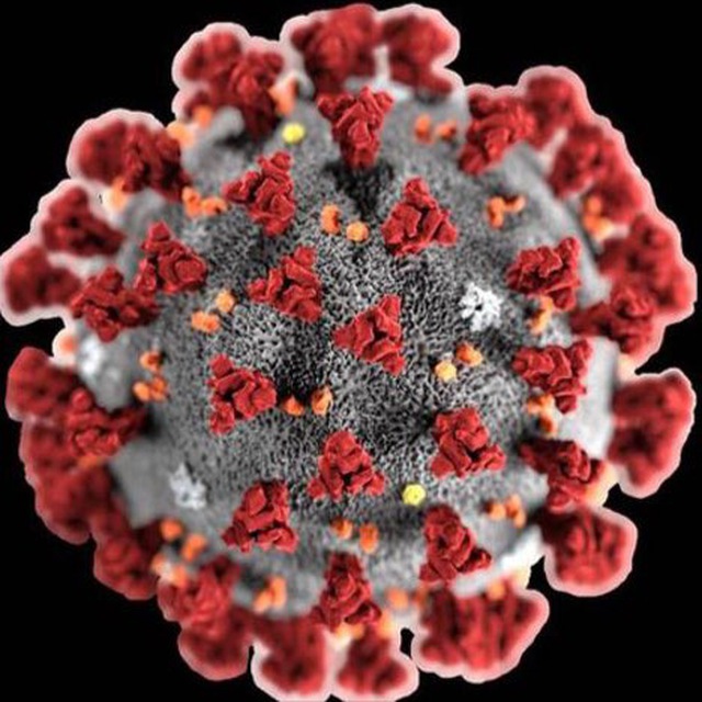 CORONA VIRUS ITALIA 🚨