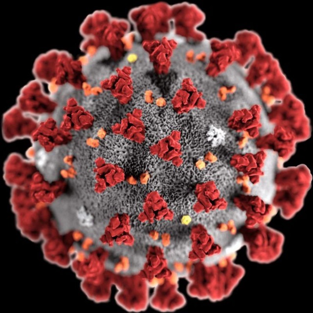 Coronavirus COVID-19