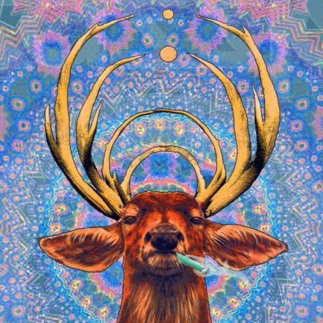 ƊƖƧƛƓƖƛƬƖ MЄƝƬƛԼƖ🏴☠️