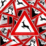 VPB - Viabilità Provincia di Belluno