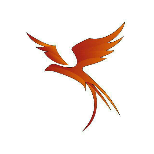 Fenice Academy