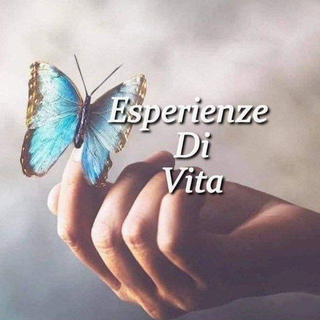 ✒️Esperienze Di Vita ✉️