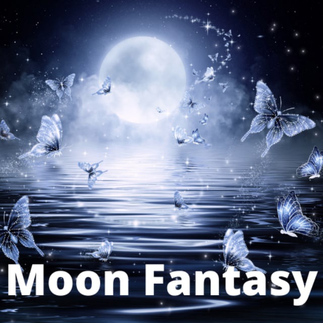 MOON FANTASY 🦋 Progetti 🦋