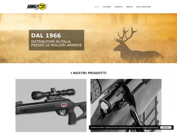 Screenshot adinolfi.com