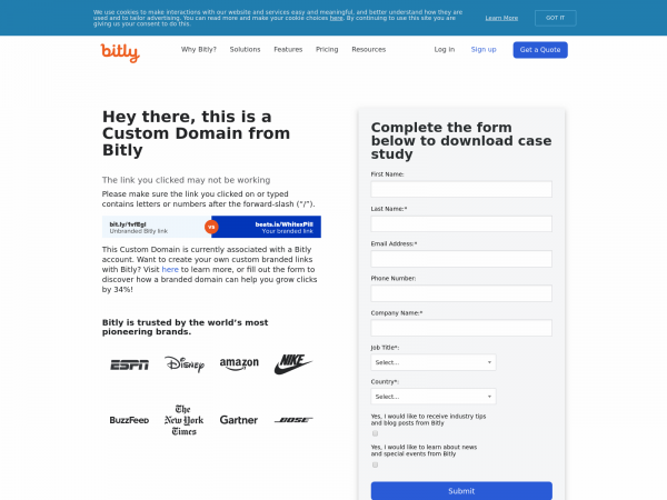 Screenshot bmed.it